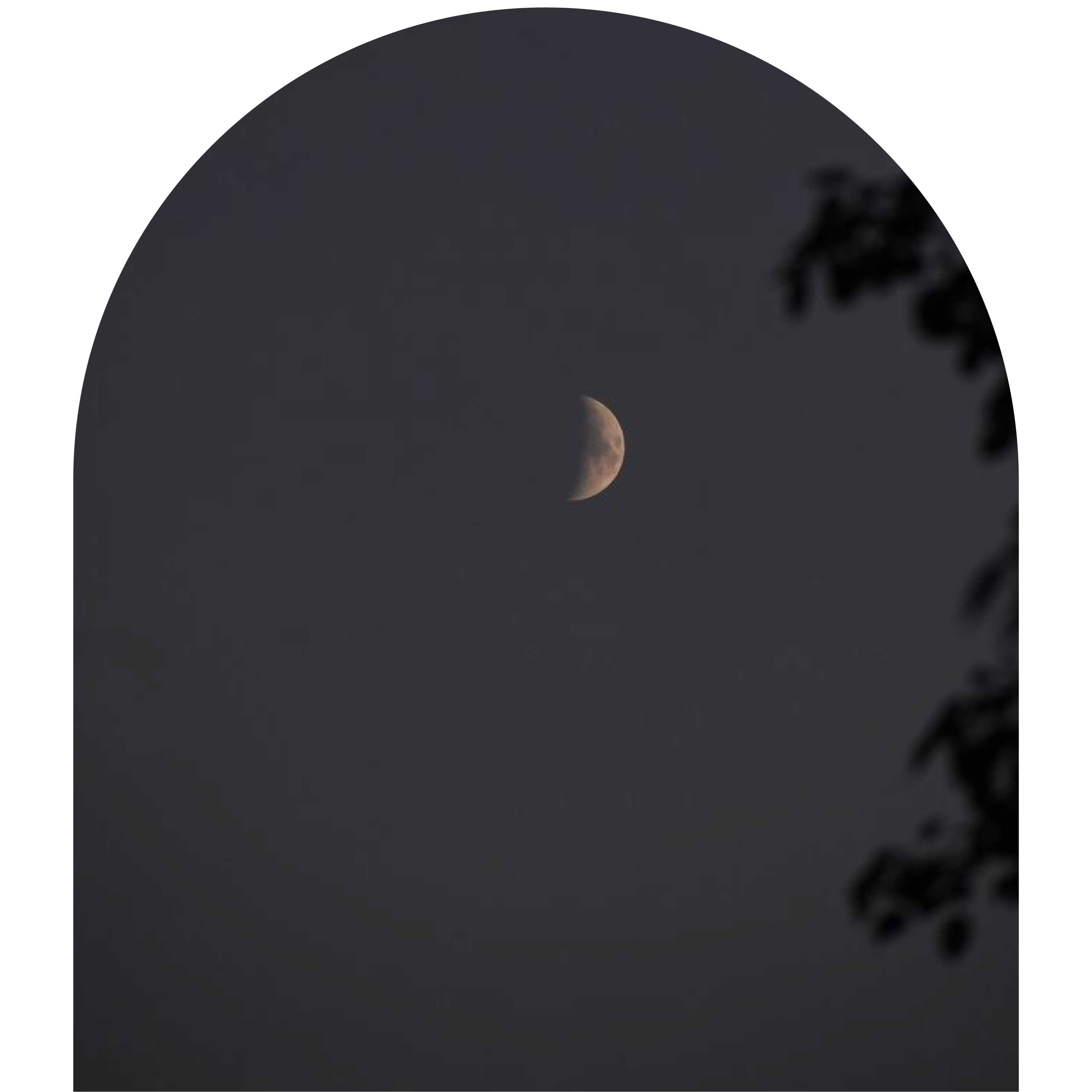 Why Natural Nail Care Is a Practice of Self-Love